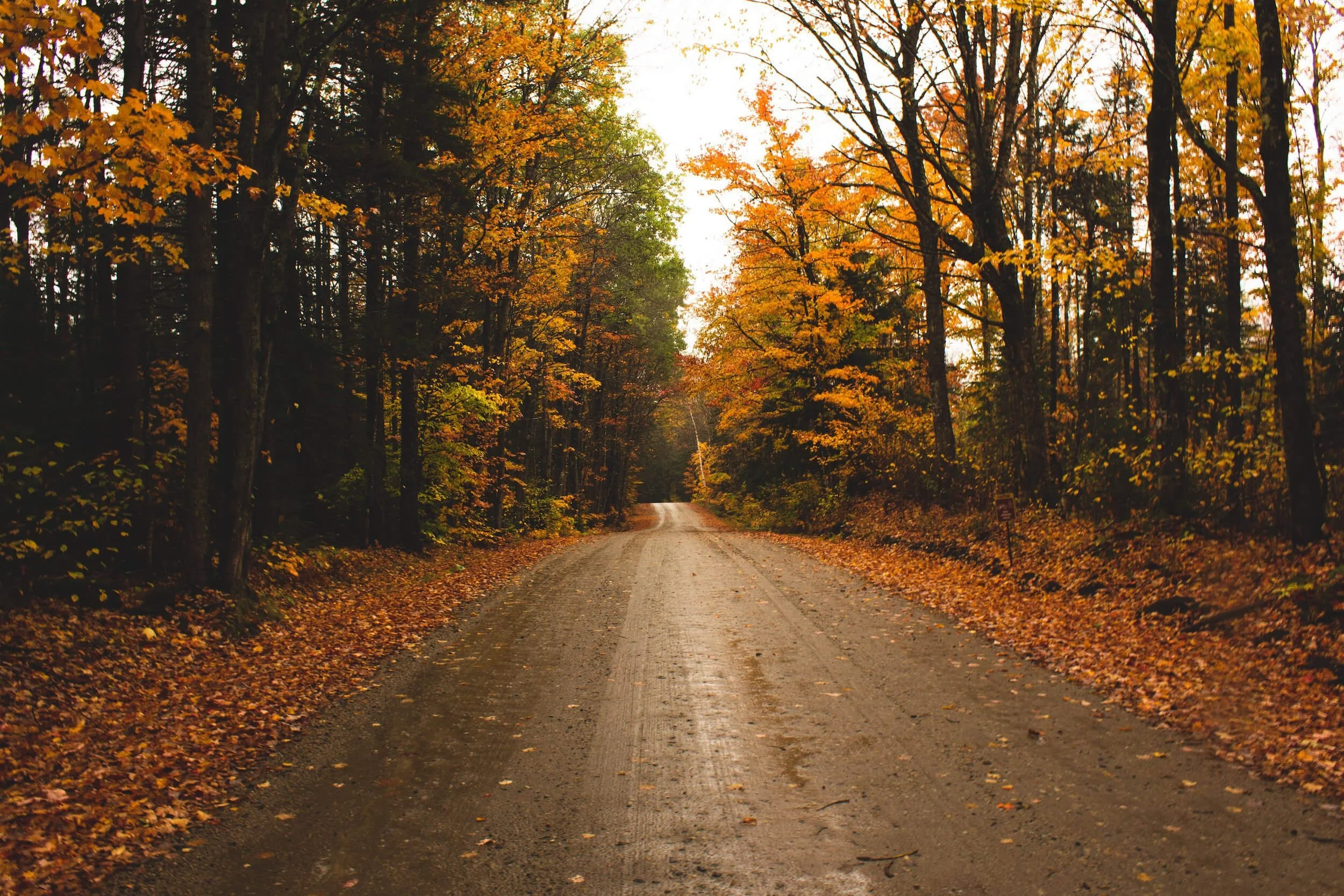 concrete road between green grass field in vermont